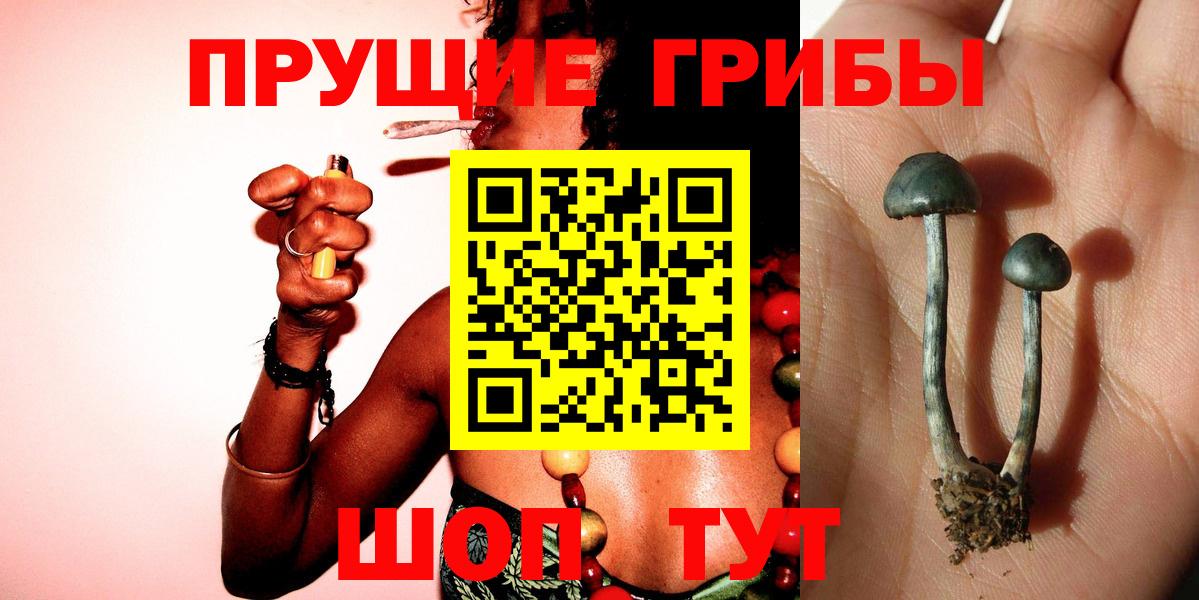 Псилоцибиновые грибы GOLDEN TEACHER Малоярославец