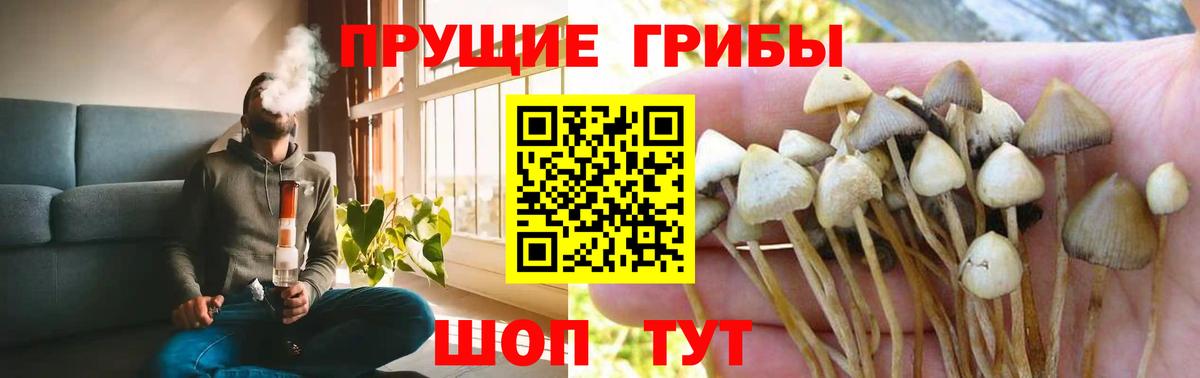 Псилоцибиновые грибы ЛСД  Вход с VPN  Малоярославец 